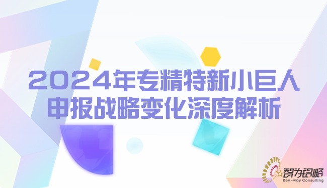 2024年专精特新小巨人申报战略变化深度解析.jpg