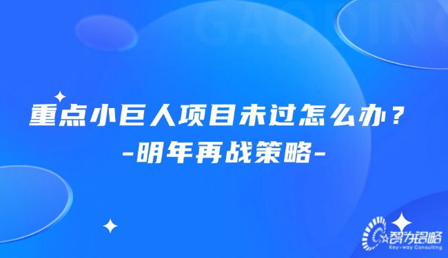 重点小巨人项目未过怎么办？明年再战策略.jpg