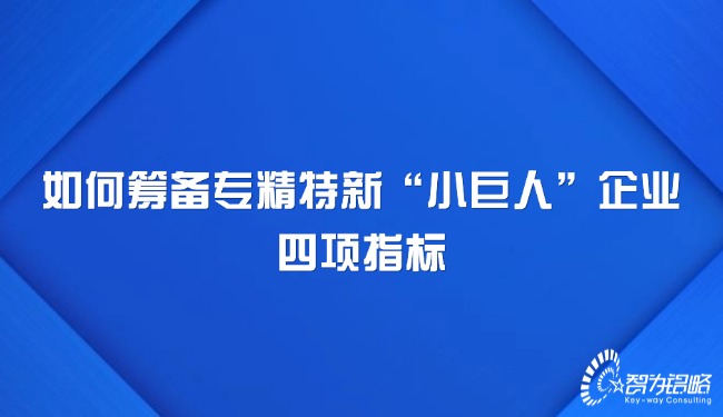 如何筹备专精特新“小巨人”企业四项指标.jpg