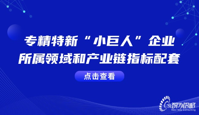 专精特新“小巨人”企业的所属领域和产业链指标配套.jpg