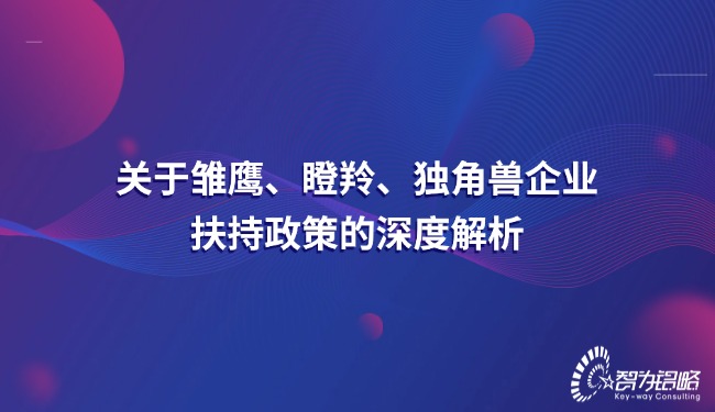 关于雏鹰、瞪羚、独角兽企业扶持政策的深度解析.jpg