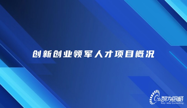 创新创业领军人才项目概况