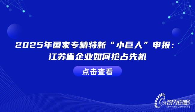 2025年国家专精特新“小巨人”申报：江苏省企业如何抢占先机.jpg