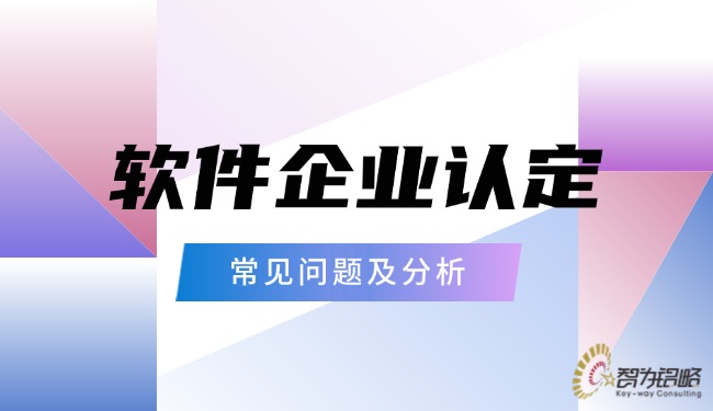 软件企业认定的常见问题及分析