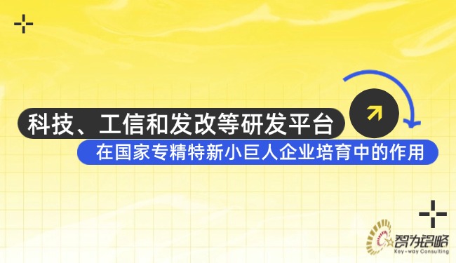 科技、工信和发改等研发平台在国家专精特新小巨人企业培育中的作用.jpg