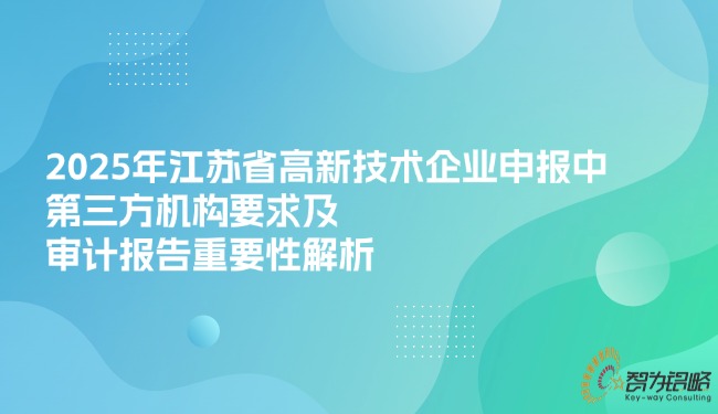 2025年江苏省高新技术企业申报中*三方机构要求及审计报告重要性解析.jpg
