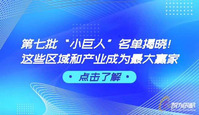 *七批“小巨人”名单揭晓！这些区域和产业成为*大赢家.jpg