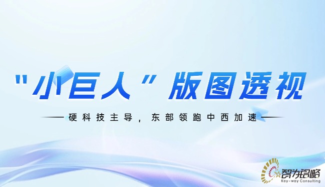 “小巨人”版图透视：硬科技主导，东部领跑中西加速.jpg