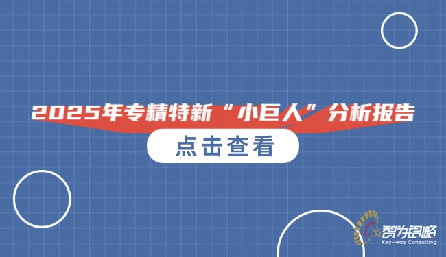 2025年专精特新“小巨人”分析报告.jpg